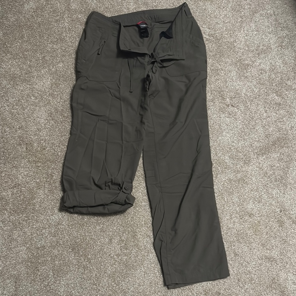 The North Face Grey/Brown Hiking Pants